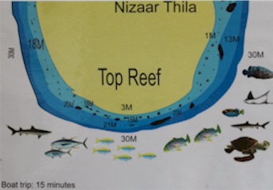 Nizaaru Thila